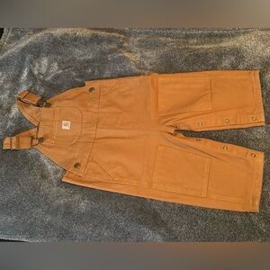 Infant Carhartt Insulated Overalls